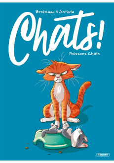 CHATS ! - T5 - POISSONS CHATS