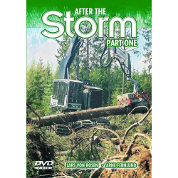 After the storm Vol.1